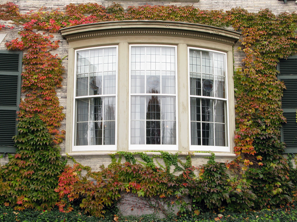 Bay Window Installation Central, LA